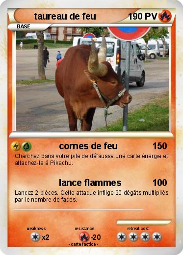 Pokemon taureau de feu