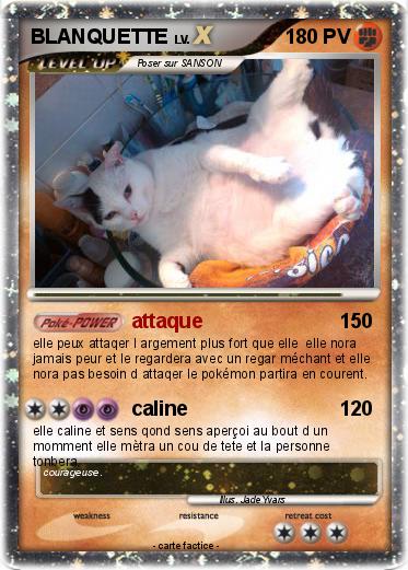 Pokemon BLANQUETTE
