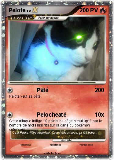 Pokemon Pelote