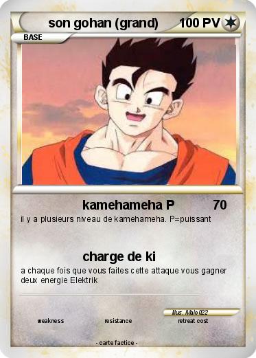 Pokemon son gohan (grand)