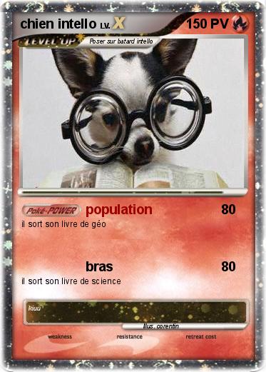 Pokemon chien intello
