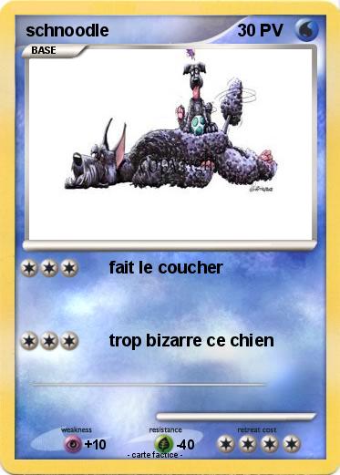 Pokemon schnoodle