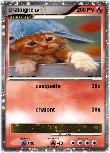 Pokemon chataigne