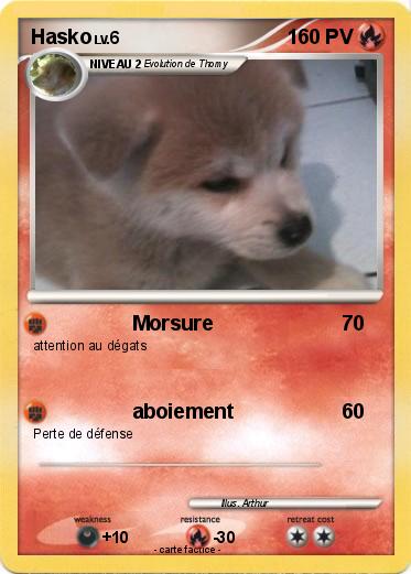 Pokemon Hasko