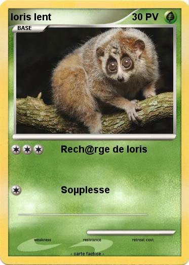 Pokemon loris lent