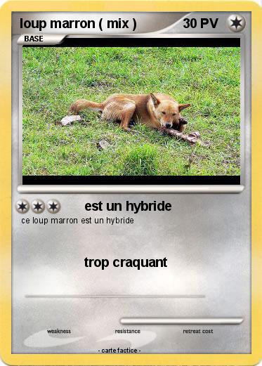 Pokemon loup marron ( mix )