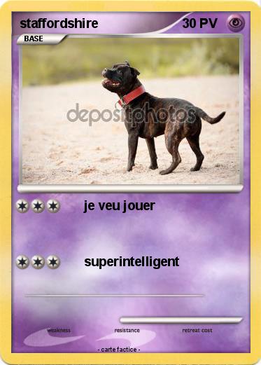 Pokemon staffordshire