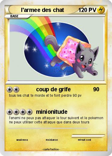 Pokemon l'armee des chat