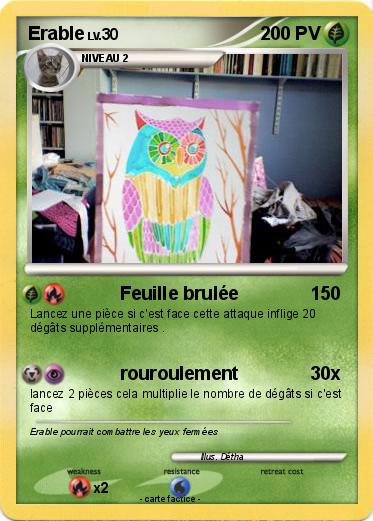 Pokemon Erable