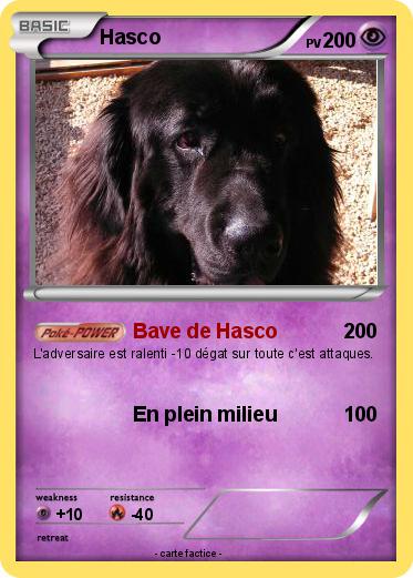 Pokemon Hasco