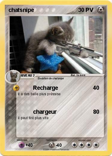 Pokemon chatsnipe