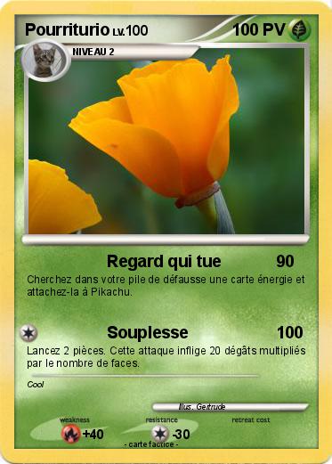 Pokemon Pourriturio