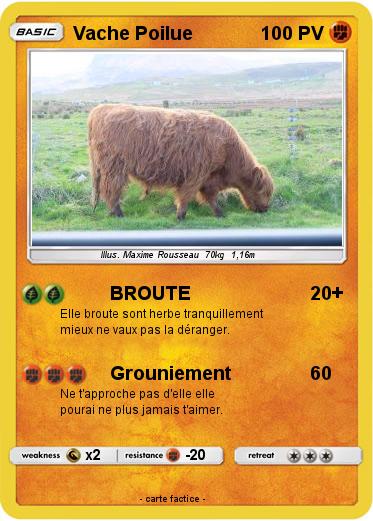Pokemon Vache Poilue