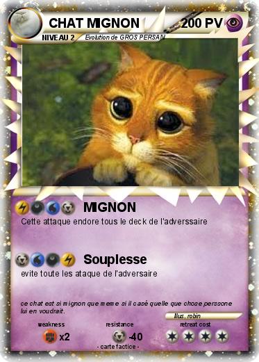 Pokemon CHAT MIGNON
