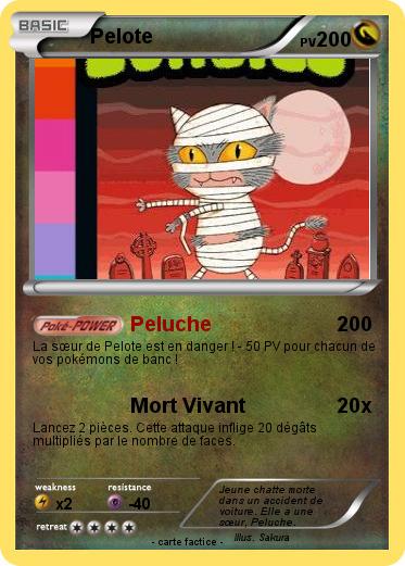 Pokemon Pelote