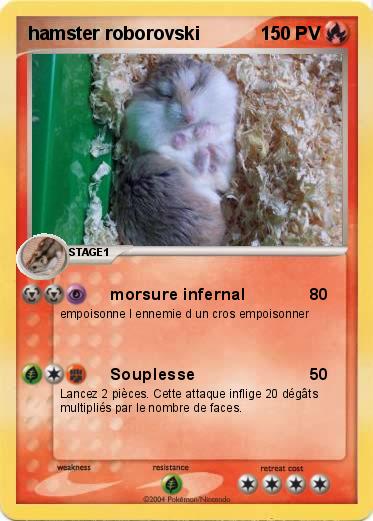 Pokemon hamster roborovski
