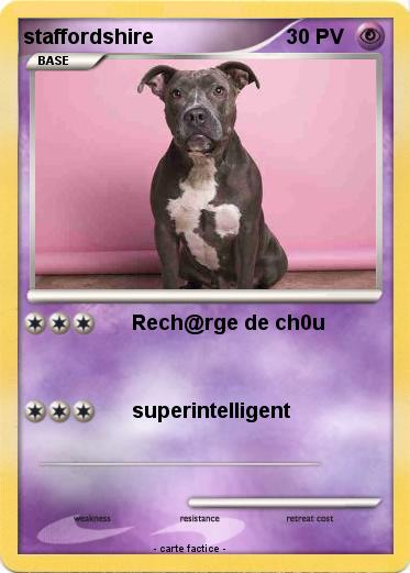 Pokemon staffordshire