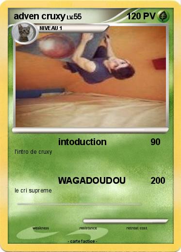 Pokemon adven cruxy
