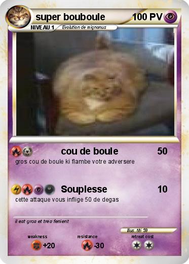Pokemon super bouboule
