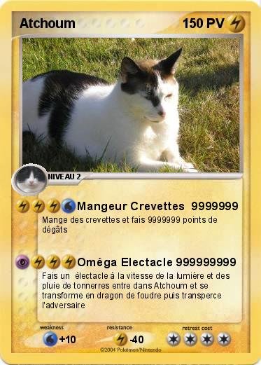 Pokemon Atchoum