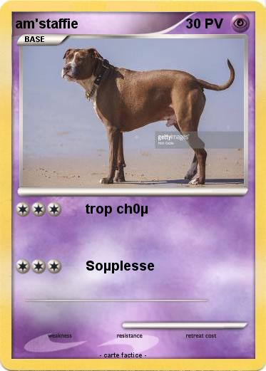 Pokemon am'staffie