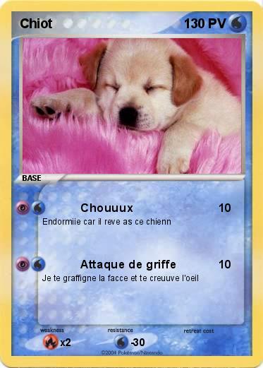 Pokemon Chiot