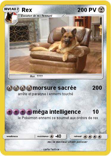 Pokemon Rex