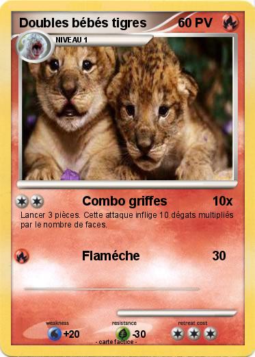 Pokemon Doubles bébés tigres