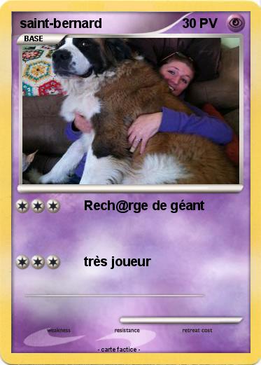 Pokemon saint-bernard