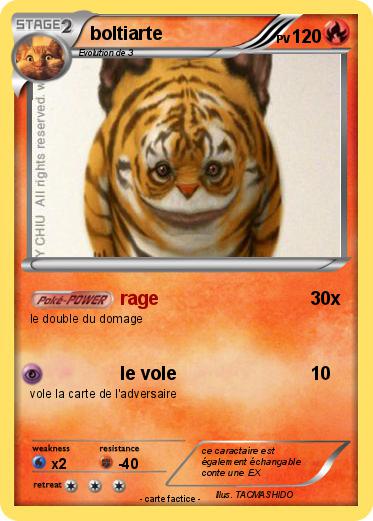 Pokemon boltiarte