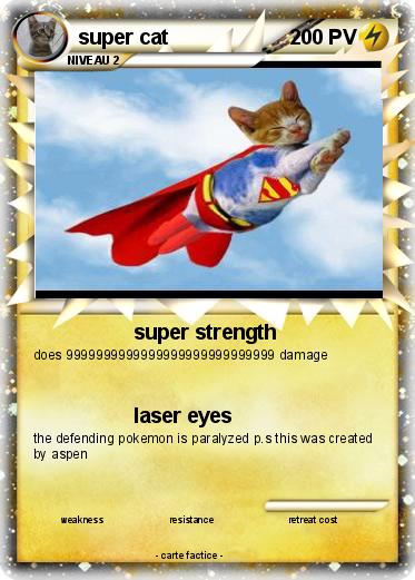 Pokemon super cat