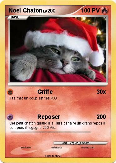 Pokemon Noel Chaton