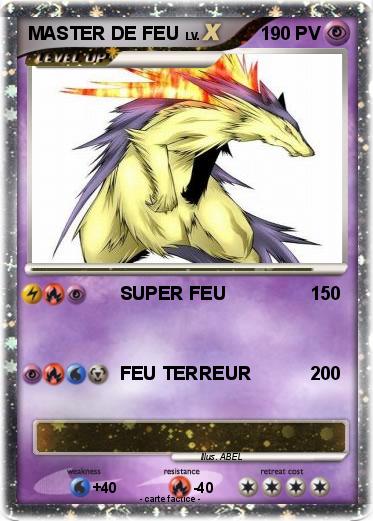 Pokemon MASTER DE FEU