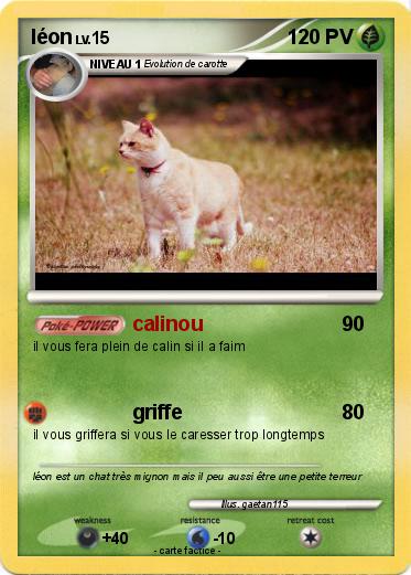Pokemon léon