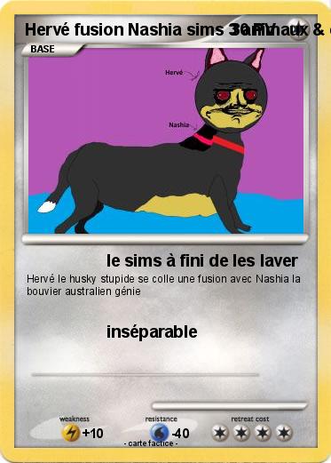 Pokemon Hervé fusion Nashia sims 3 animaux & cie 3DS