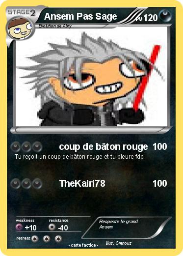 Pokemon Ansem Pas Sage