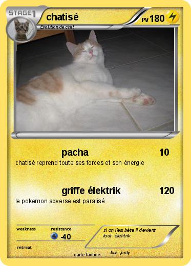 Pokemon chatisé