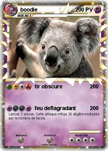 Pokemon boodie