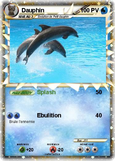 Pokemon Dauphin
