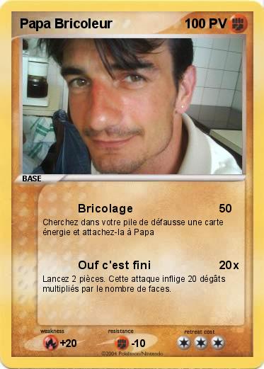 Pokemon Papa Bricoleur