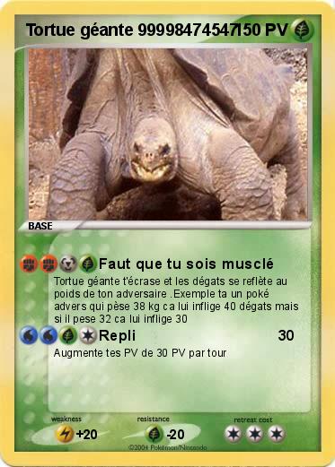 Pokemon Tortue géante 99998474547