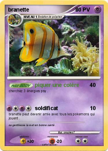 Pokemon branette
