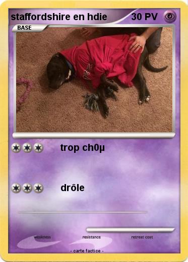 Pokemon staffordshire en hdie