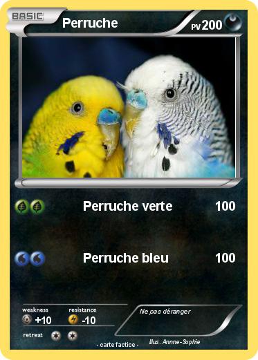Pokemon Perruche
