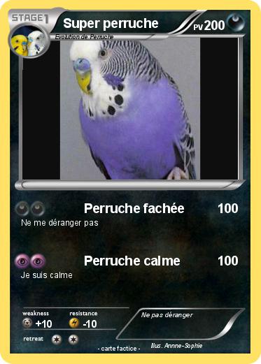Pokemon Super perruche