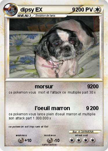 Pokemon dipsy EX                    9