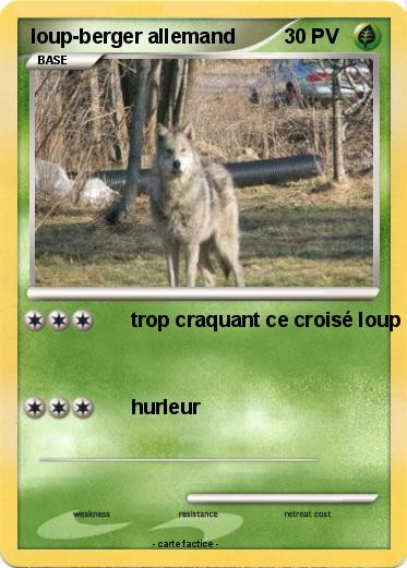 Pokemon loup-berger allemand