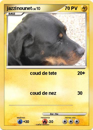 Pokemon jazzinounet