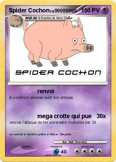 Pokemon Spider Cochon