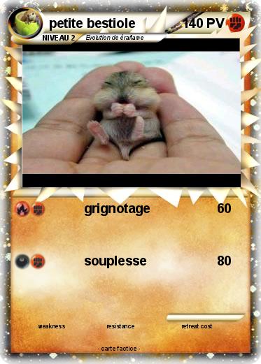 Pokemon petite bestiole